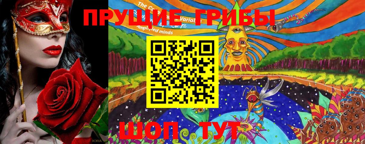 Галлюциногенные грибы Psilocybe  Вход с VPN  Екатеринбург 